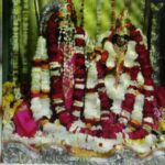 महाशिवरात्रि 2026: नवग्रहों के काष्ठ पट्ट पर विराजेंगे शिव-गौरा, भक्तों को देंगे दर्शन; भव्य होंगे आयोजन