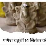 सोमवार से गणेश उत्सव शुरू:मिट्टी के साथ ही श्वेतार्क, हल्दी, गोबर और लकड़ी से बनी प्रतिमाएं भी घर में स्थापित करने के लिए होती हैं शुभ