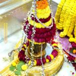 काशी विश्वनाथ मंदिर में विशेष पूजा, धार्मिक अनुष्ठान में शामिल हुए श्रद्धालु